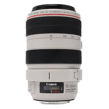 ★極上品★Canon EF 70-300mm f4-5.6 IS II USM Canon EF 70-300mm f/4-5.6 IS II USM Review | Photography Blog